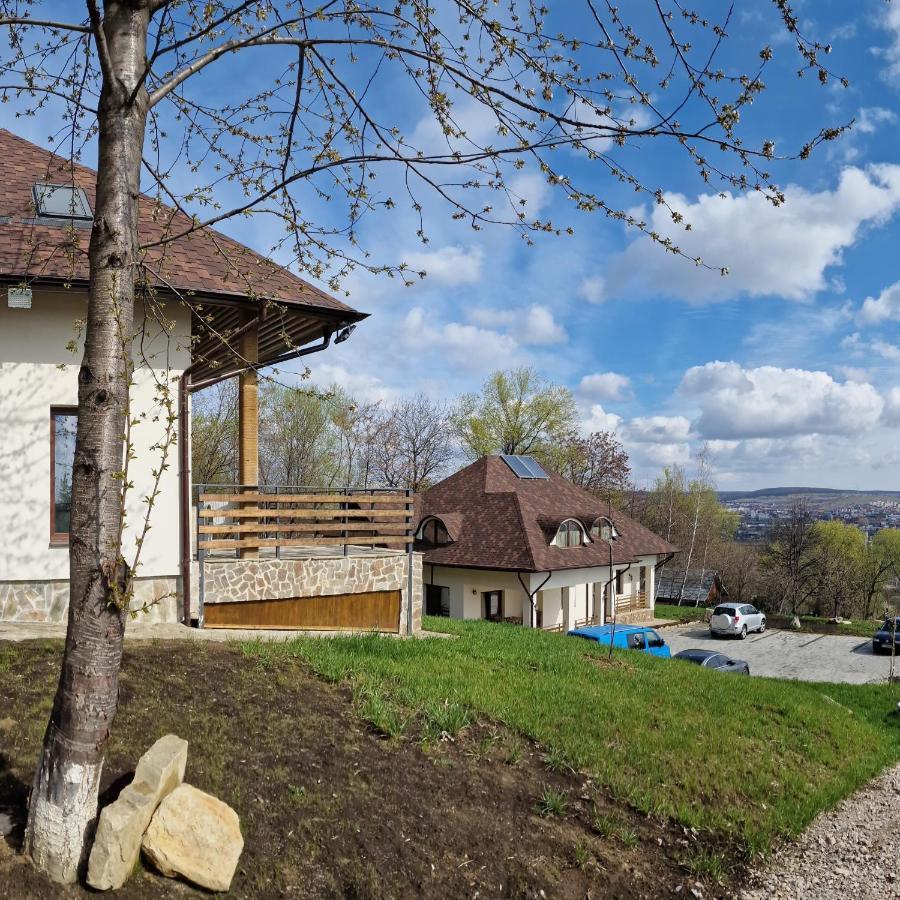 Provence Suceava Hotel Kültér fotó